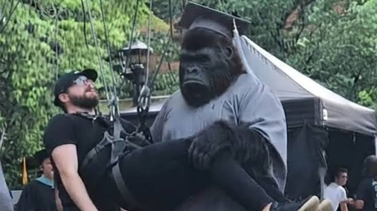Imagem 2 da matéria: James Gunn esclarece quando The People v. Gorilla Grodd acontece no DCU