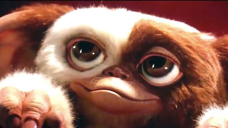 Imagem principal da matéria: Gizmo está de volta! Gremlins ganha primeiro teaser e confirma estreia nos cinemas em 2028